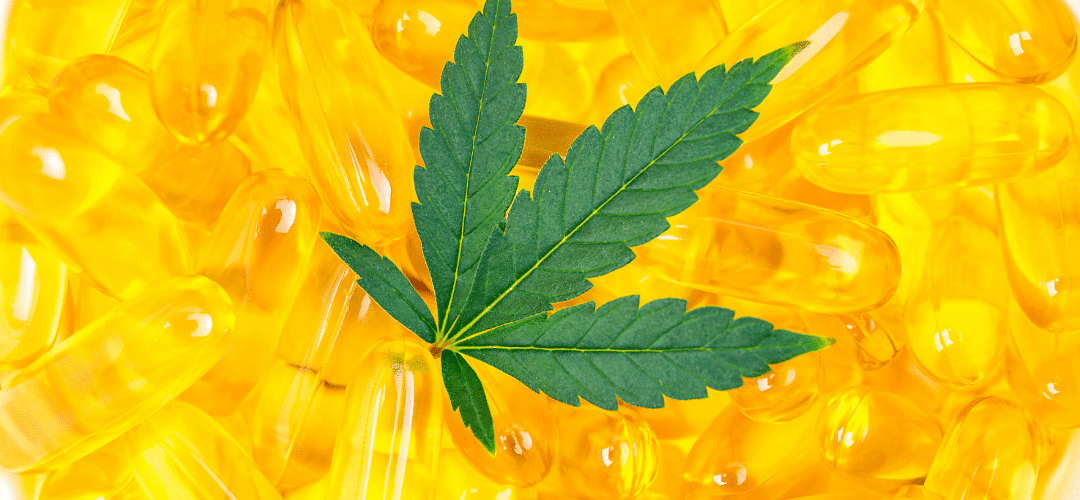 avantages et utilisations de l'huile de CBD