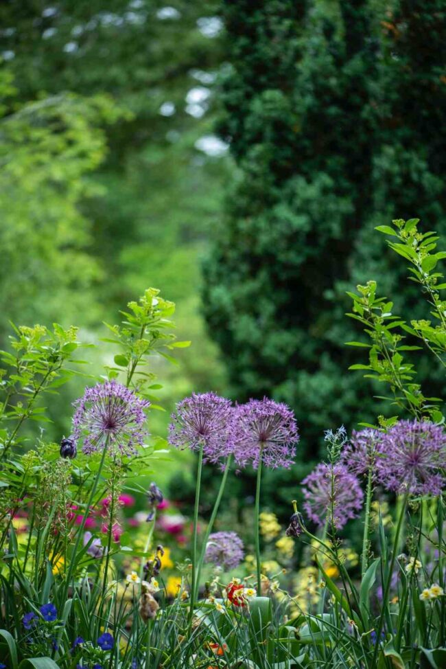 Qu'est-ce qu'un style de conception de jardin formel ?